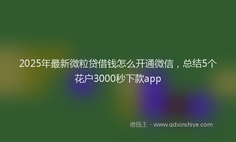 2025年最新微粒贷借钱怎么开通微信，总结5个花户3000秒下款app