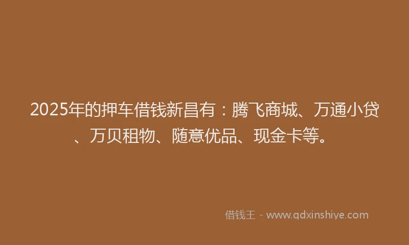 2025年的押车借钱新昌有：腾飞商城、万通小贷、万贝租物、随意优品、现金卡等。