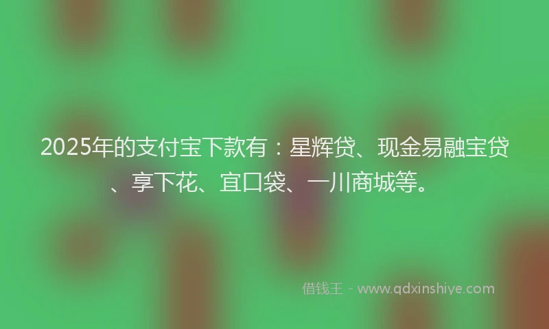 2025年的支付宝下款有：星辉贷、现金易融宝贷、享下花、宜口袋、一川商城等。