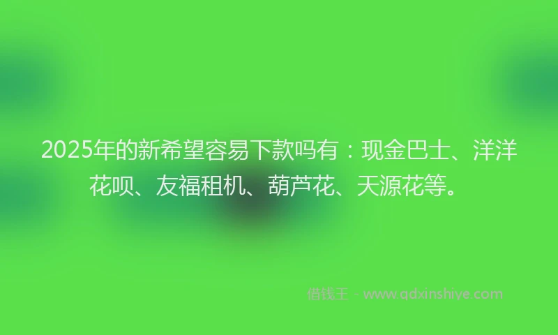2025年的新希望容易下款吗有：现金巴士、洋洋花呗、友福租机、葫芦花、天源花等。