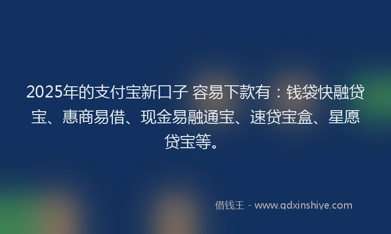 2025年的支付宝新口子 容易下款有：钱袋快融贷宝、惠商易借、现金易融通宝、速贷宝盒、星愿贷宝等。