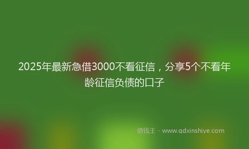 2025年最新急借3000不看征信，分享5个不看年龄征信负债的口子
