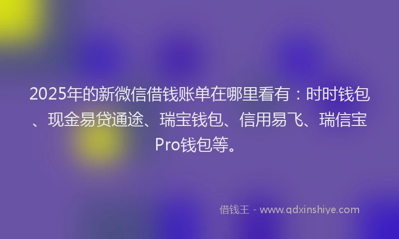 2025年的新微信借钱账单在哪里看有：时时钱包、现金易贷通途、瑞宝钱包、信用易飞、瑞信宝Pro钱包等。