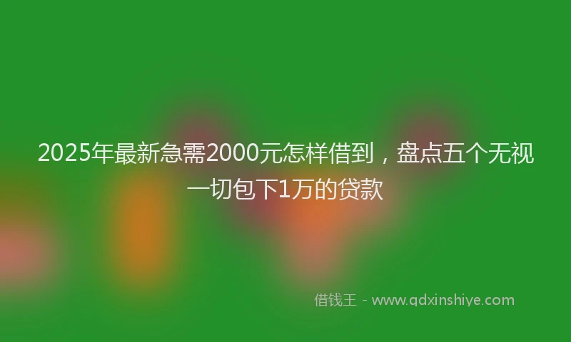 2025年最新急需2000元怎样借到，盘点五个无视一切包下1万的贷款