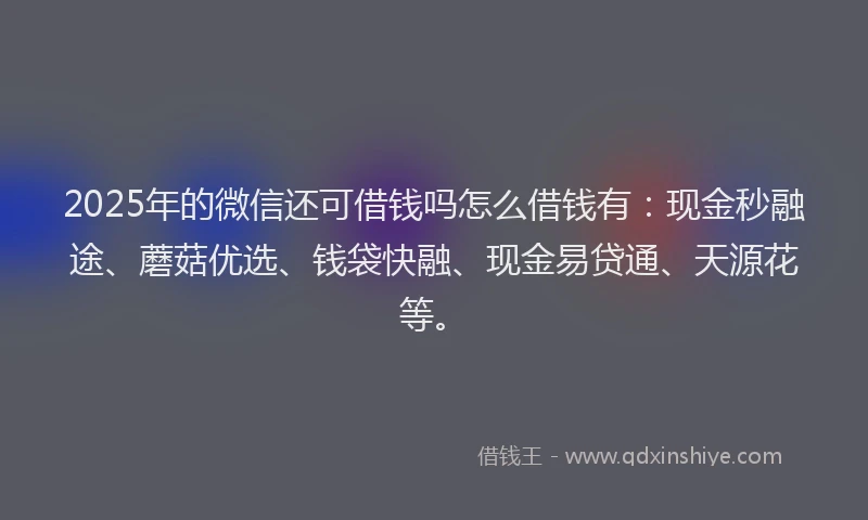 2025年的微信还可借钱吗怎么借钱有：现金秒融途、蘑菇优选、钱袋快融、现金易贷通、天源花等。