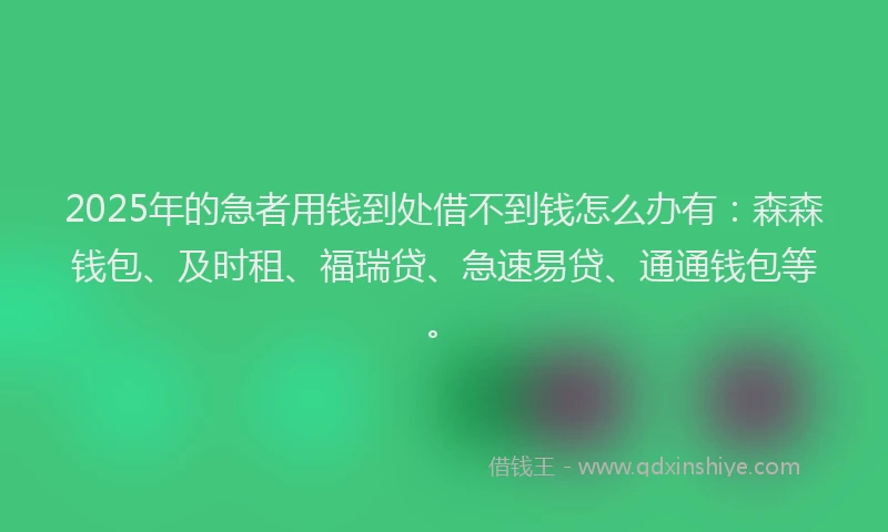 2025年的急者用钱到处借不到钱怎么办有：森森钱包、及时租、福瑞贷、急速易贷、通通钱包等。