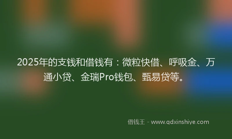 2025年的支钱和借钱有：微粒快借、呼吸金、万通小贷、金瑞Pro钱包、甄易贷等。
