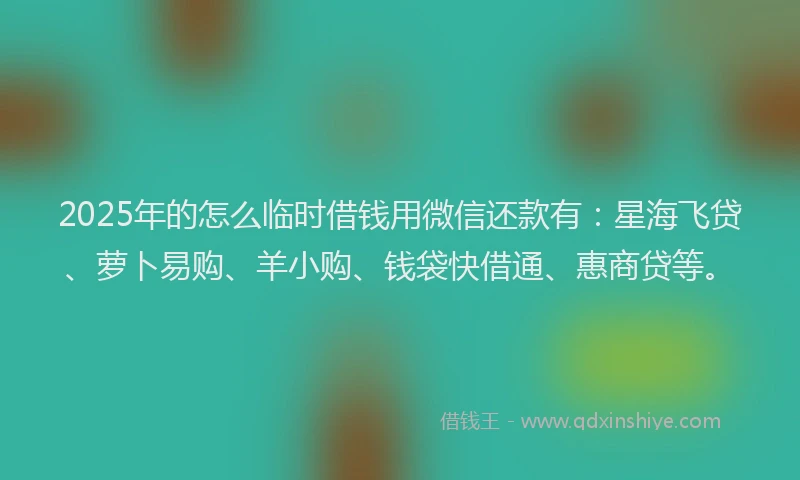 2025年的怎么临时借钱用微信还款有：星海飞贷、萝卜易购、羊小购、钱袋快借通、惠商贷等。