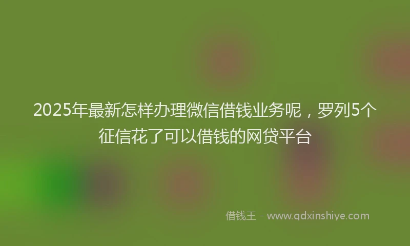 2025年最新怎样办理微信借钱业务呢，罗列5个征信花了可以借钱的网贷平台
