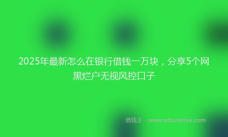 2025年最新怎么在银行借钱一万块，分享5个网黑烂户无视风控口子