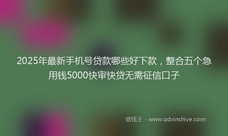 2025年最新手机号贷款哪些好下款，整合五个急用钱5000快审快贷无需征信口子