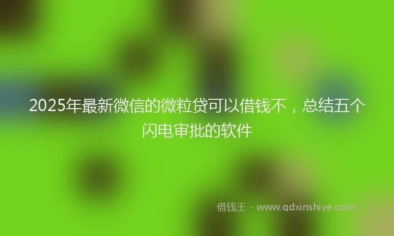 2025年最新微信的微粒贷可以借钱不，总结五个闪电审批的软件