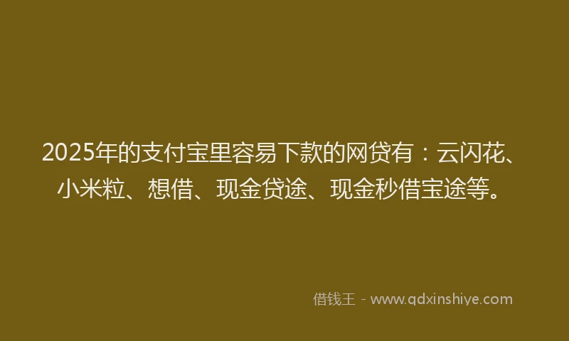 2025年的支付宝里容易下款的网贷有：云闪花、小米粒、想借、现金贷途、现金秒借宝途等。