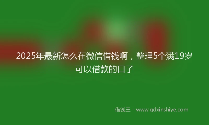 2025年最新怎么在微信借钱啊，整理5个满19岁可以借款的口子