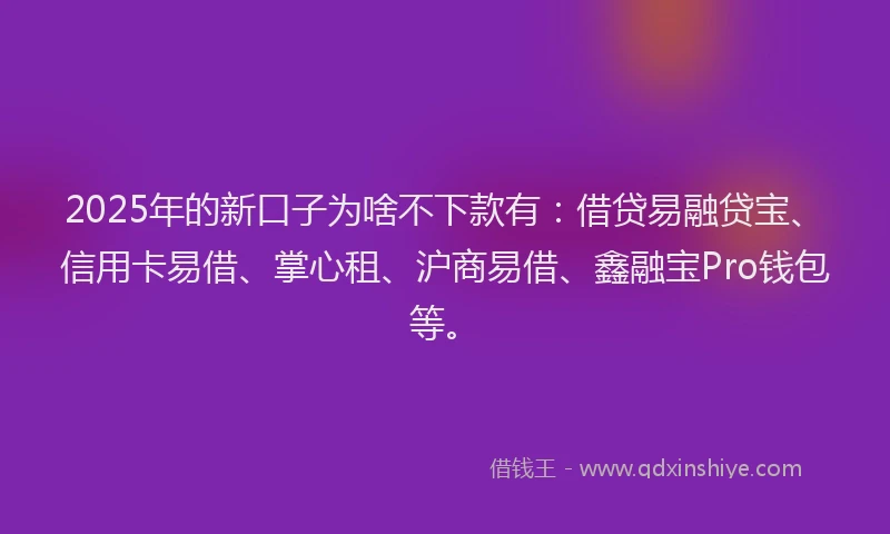 2025年的新口子为啥不下款有：借贷易融贷宝、信用卡易借、掌心租、沪商易借、鑫融宝Pro钱包等。