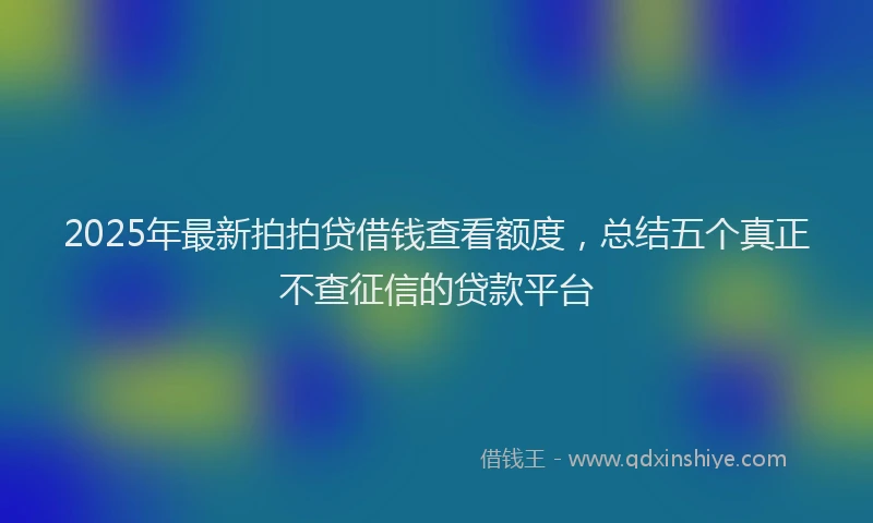 2025年最新拍拍贷借钱查看额度，总结五个真正不查征信的贷款平台