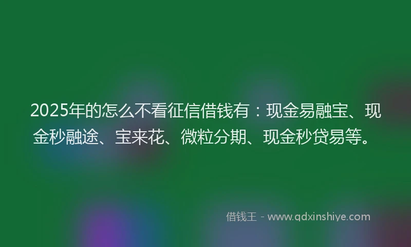 2025年的怎么不看征信借钱有：现金易融宝、现金秒融途、宝来花、微粒分期、现金秒贷易等。