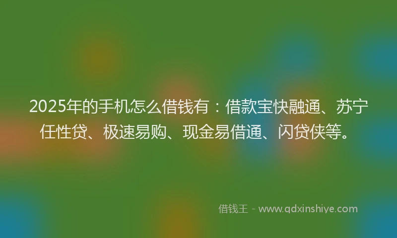 2025年的手机怎么借钱有：借款宝快融通、苏宁任性贷、极速易购、现金易借通、闪贷侠等。