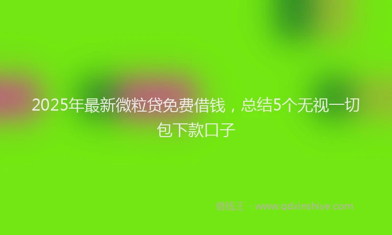 2025年最新微粒贷免费借钱，总结5个无视一切包下款口子