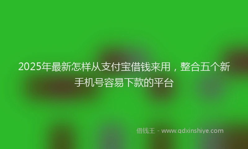 2025年最新怎样从支付宝借钱来用，整合五个新手机号容易下款的平台