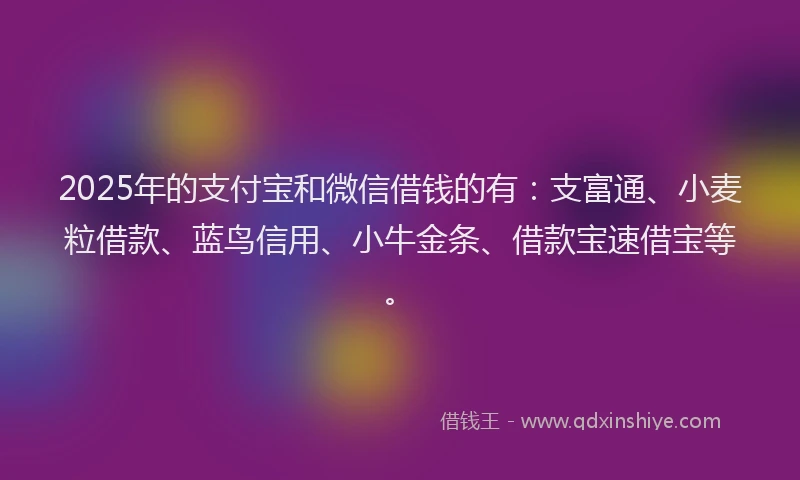 2025年的支付宝和微信借钱的有：支富通、小麦粒借款、蓝鸟信用、小牛金条、借款宝速借宝等。