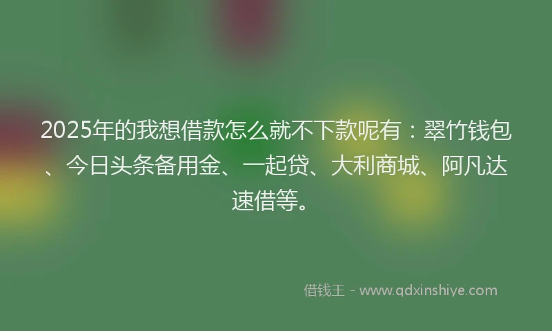 2025年的我想借款怎么就不下款呢有：翠竹钱包、今日头条备用金、一起贷、大利商城、阿凡达速借等。