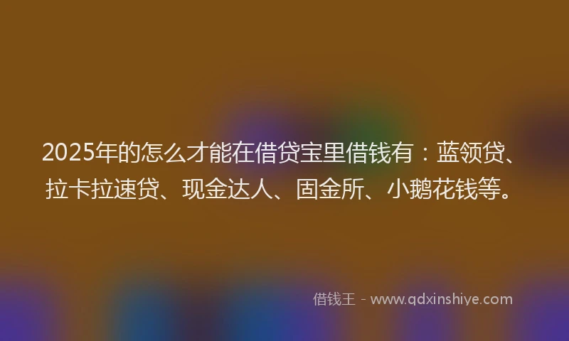 2025年的怎么才能在借贷宝里借钱有：蓝领贷、拉卡拉速贷、现金达人、固金所、小鹅花钱等。