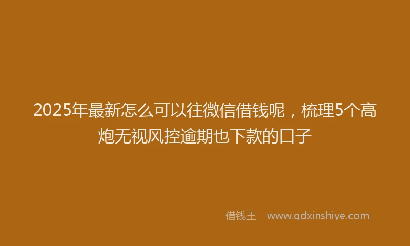 2025年最新怎么可以往微信借钱呢，梳理5个高炮无视风控逾期也下款的口子