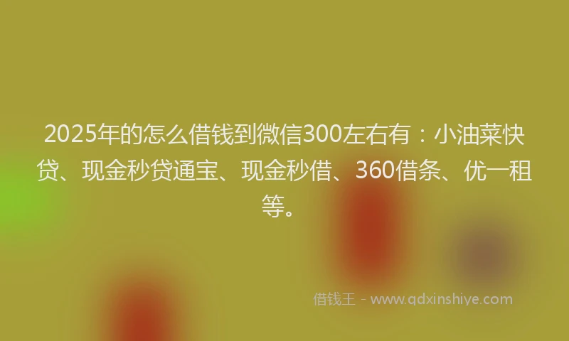 2025年的怎么借钱到微信300左右有：小油菜快贷、现金秒贷通宝、现金秒借、360借条、优一租等。
