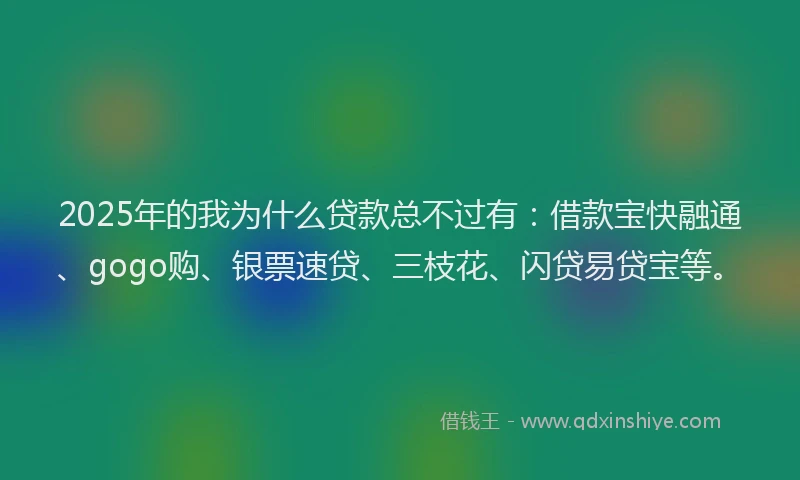 2025年的我为什么贷款总不过有：借款宝快融通、gogo购、银票速贷、三枝花、闪贷易贷宝等。