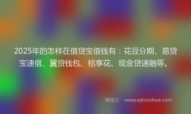 2025年的怎样在借贷宝借钱有：花豆分期、易贷宝速借、翼贷钱包、桔享花、现金贷速融等。