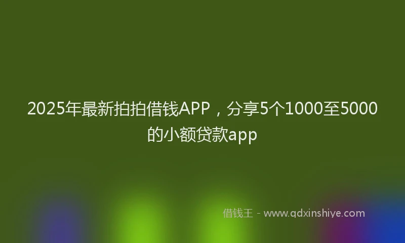2025年最新拍拍借钱APP，分享5个1000至5000的小额贷款app