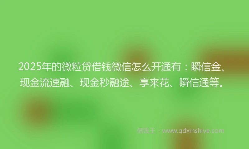 2025年的微粒贷借钱微信怎么开通有：瞬信金、现金流速融、现金秒融途、享来花、瞬信通等。