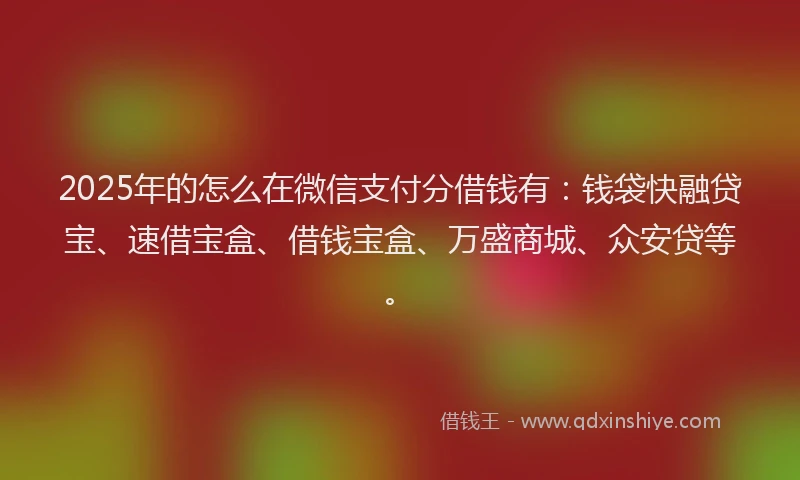 2025年的怎么在微信支付分借钱有：钱袋快融贷宝、速借宝盒、借钱宝盒、万盛商城、众安贷等。