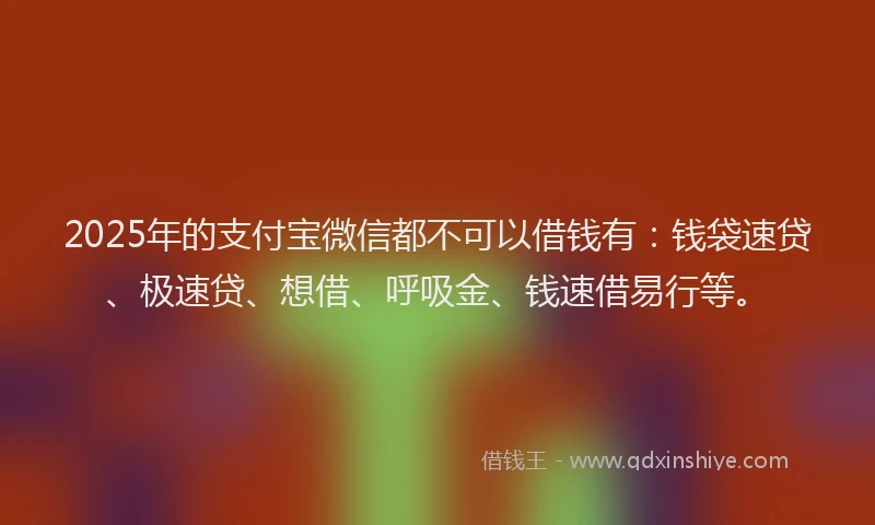 2025年的支付宝微信都不可以借钱有：钱袋速贷、极速贷、想借、呼吸金、钱速借易行等。