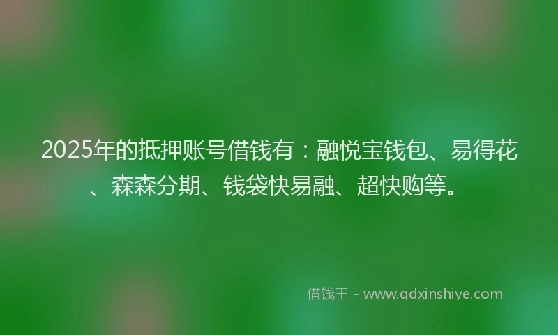 2025年的抵押账号借钱有：融悦宝钱包、易得花、森森分期、钱袋快易融、超快购等。