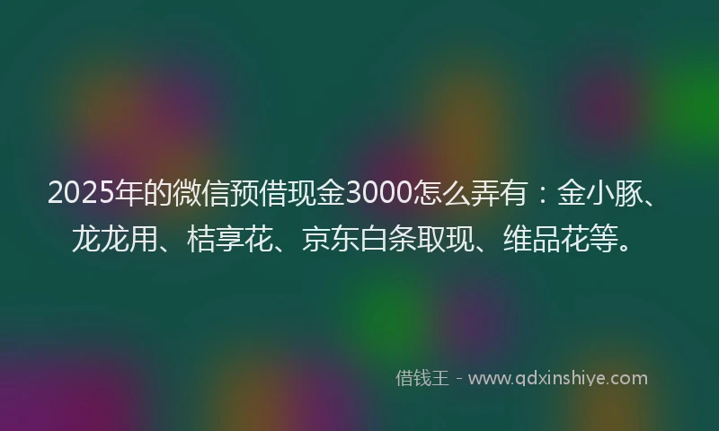 2025年的微信预借现金3000怎么弄有：金小豚、龙龙用、桔享花、京东白条取现、维品花等。