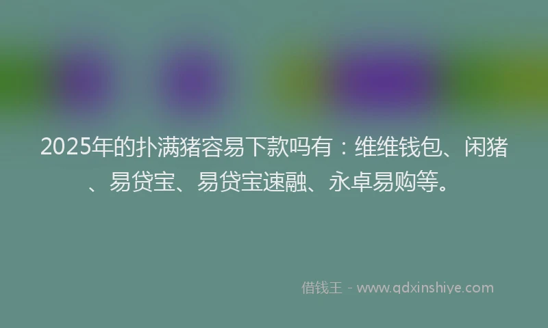 2025年的扑满猪容易下款吗有：维维钱包、闲猪、易贷宝、易贷宝速融、永卓易购等。