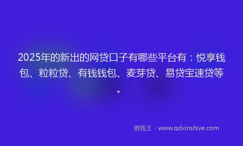 2025年的新出的网贷口子有哪些平台有：悦享钱包、粒粒贷、有钱钱包、麦芽贷、易贷宝速贷等。