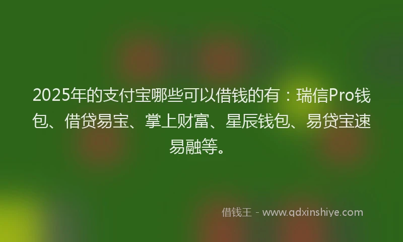 2025年的支付宝哪些可以借钱的有：瑞信Pro钱包、借贷易宝、掌上财富、星辰钱包、易贷宝速易融等。