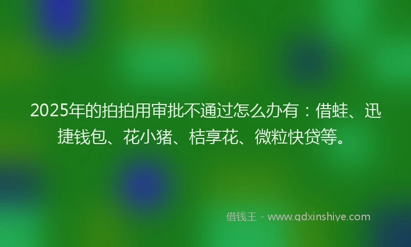 2025年的拍拍用审批不通过怎么办有：借蛙、迅捷钱包、花小猪、桔享花、微粒快贷等。