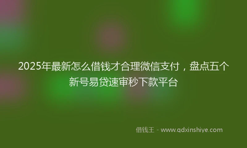 2025年最新怎么借钱才合理微信支付，盘点五个新号易贷速审秒下款平台