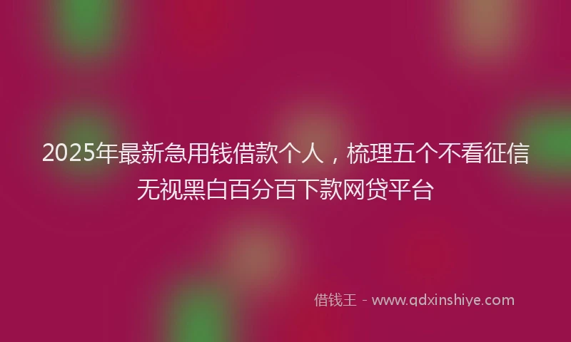 2025年最新急用钱借款个人，梳理五个不看征信无视黑白百分百下款网贷平台