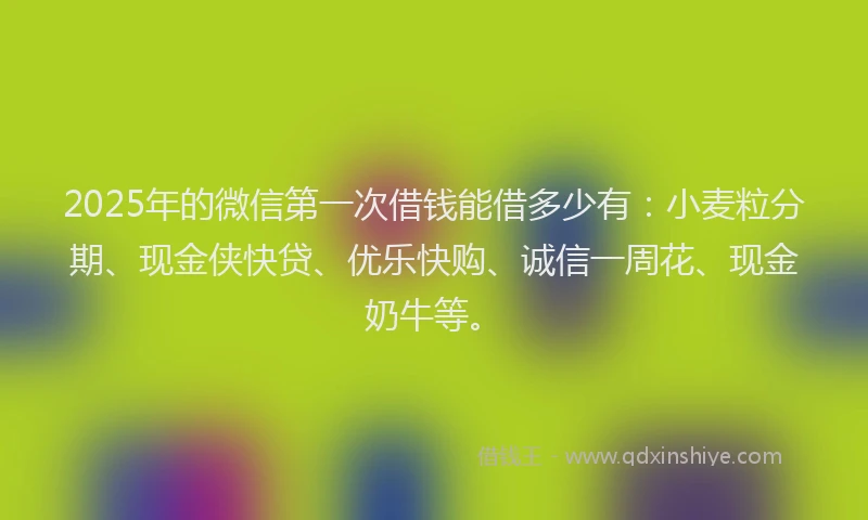 2025年的微信第一次借钱能借多少有：小麦粒分期、现金侠快贷、优乐快购、诚信一周花、现金奶牛等。