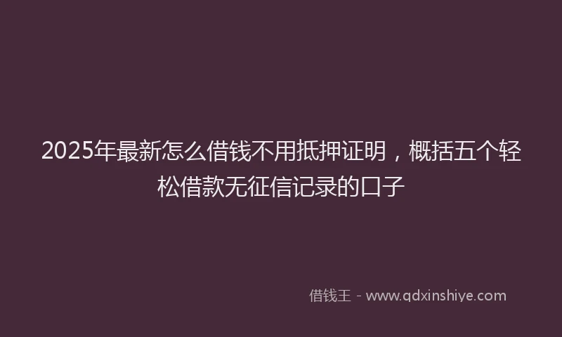 2025年最新怎么借钱不用抵押证明，概括五个轻松借款无征信记录的口子