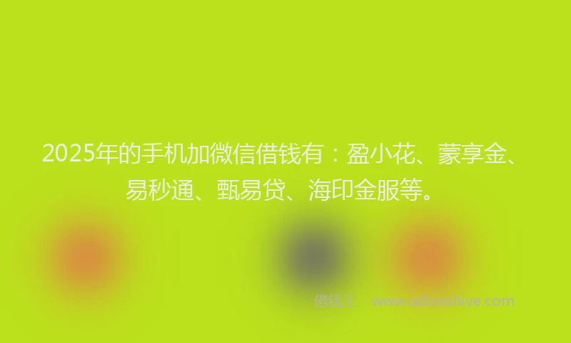 2025年的手机加微信借钱有：盈小花、蒙享金、易秒通、甄易贷、海印金服等。