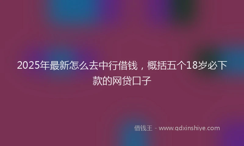 2025年最新怎么去中行借钱，概括五个18岁必下款的网贷口子