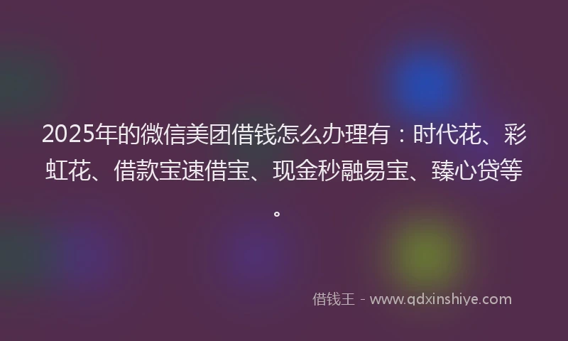 2025年的微信美团借钱怎么办理有：时代花、彩虹花、借款宝速借宝、现金秒融易宝、臻心贷等。