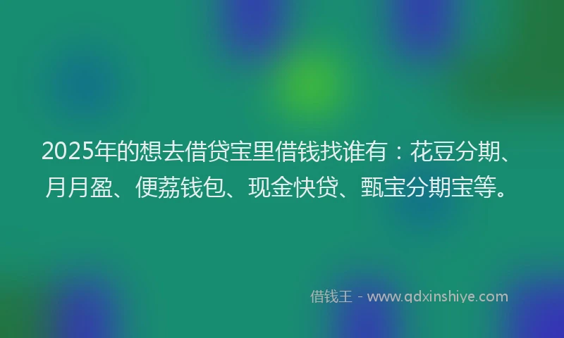2025年的想去借贷宝里借钱找谁有：花豆分期、月月盈、便荔钱包、现金快贷、甄宝分期宝等。