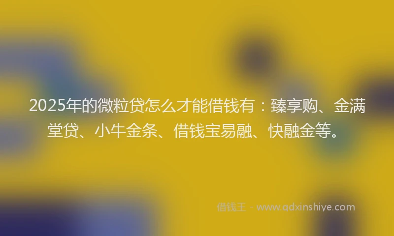 2025年的微粒贷怎么才能借钱有：臻享购、金满堂贷、小牛金条、借钱宝易融、快融金等。
